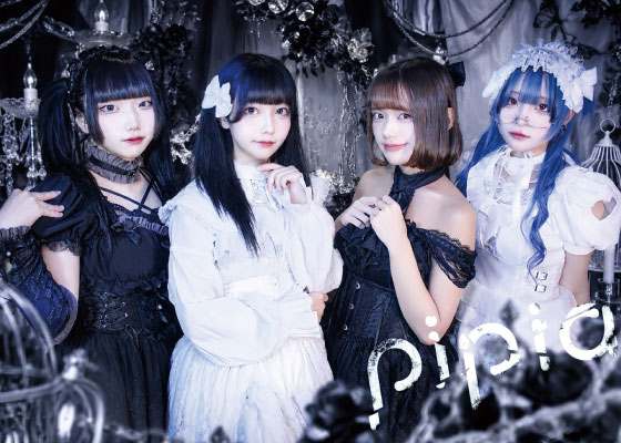 pipia